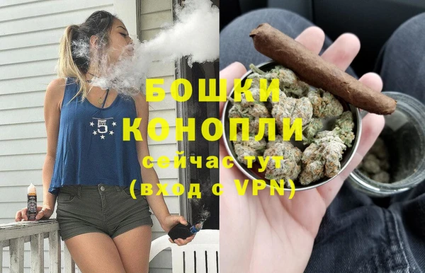 прущие крисы Белокуриха