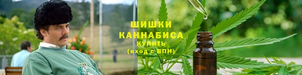прущие крисы Белокуриха