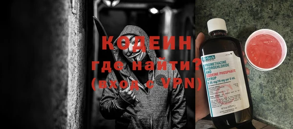 индика Семилуки