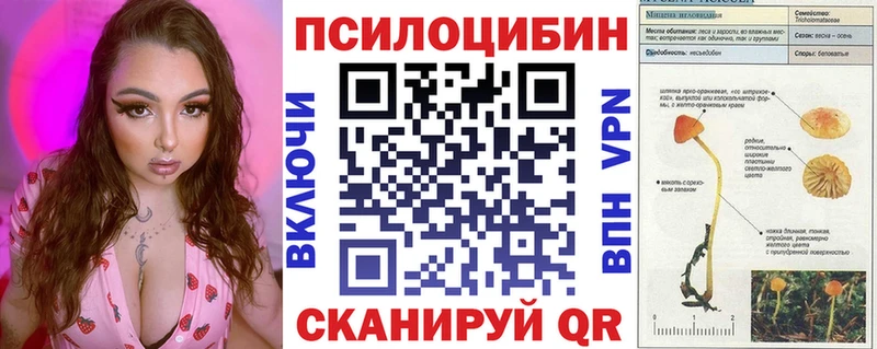 Псилоцибиновые грибы Magic Shrooms  Данилов 